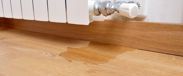 inondation parquet