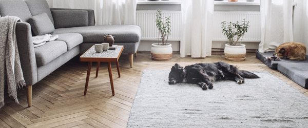 parquet rustique renovation