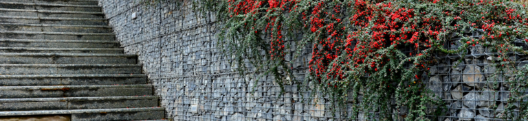 prix mur en gabion