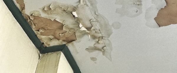 A Quel Prix Renover Son Plafond Conseils Et Tarifs Tarifartisan Fr